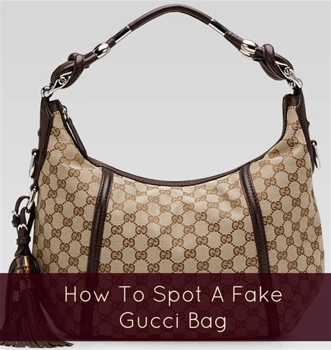 coach vs gucci|what does Gucci wear mean.